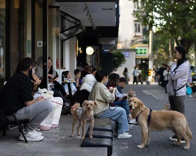 抛弃了双11爱上了“老年严选”凯发app网站这届脆皮年轻人(图6)