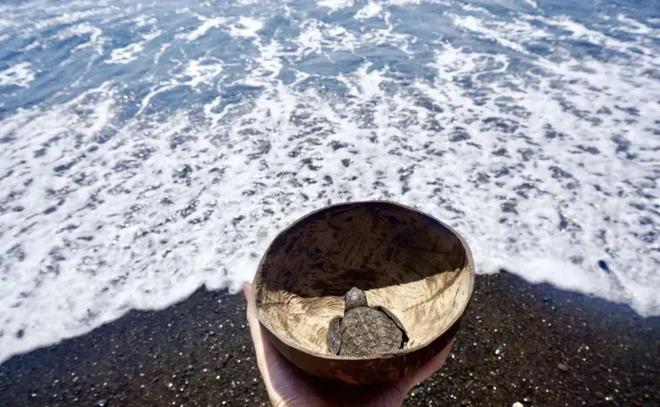 梯田咖啡这个夏天最不容错过的宝藏海岛没有平替！凯发K8国际版招募·巴厘岛｜玻璃海、火山日出、(图8)